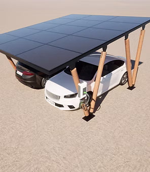 Carport 2 places avec voitures.png