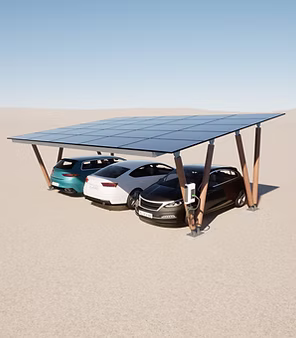Carport 3P - avec borne.jpg